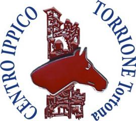 Logo Centro IL TORRIONE